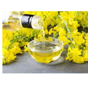 Canola Oil by KALLY OIL EXPORT