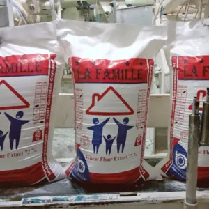 Whole Wheat Flour 50 kg t55 La Famille Brand Flour Egyptian Product premium quality brand - Image 2