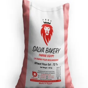 Whole Wheat Flour 50 kg t55 Salva Bakery Brand Flour Egyptian Product Atta Chakki ISO Certified Bulk Price by Boom Plus for Manufacturing & Commerce
