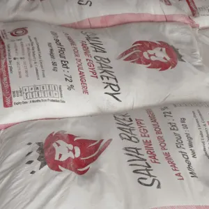 Whole Wheat Flour 50 kg t55 Salva Bakery Brand Flour Egyptian Product Atta Chakki ISO Certified Bulk Price - Image 2