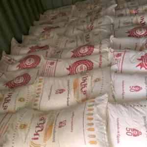 Biscuit Wheat Flour 50 kg t55 Ikka Brand Flour Egyptian Product Atta Chakki Hot selling in African market - Image 2