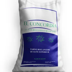 El Concordia 50kg wheat flour High quality long life high protein gluten ISO 9001 Halal From factory by Boom Plus for Manufacturing & Commerce