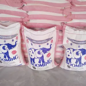 Big BOOMING 25 KG FLOUR best price high quality Egyptian flour - Image 2