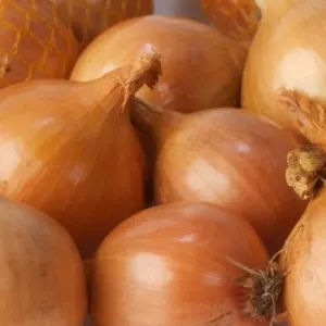 fresh Yellow and red onions by INCHA UAB