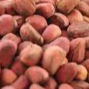 kolanut by Balky E-Commerce Limited