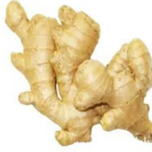 Ginger by smart functional foods Private Limited