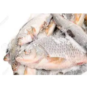 Frozen Fish