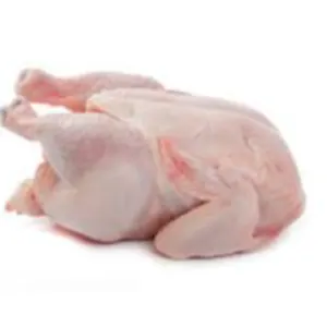 Frozen Chicken meat