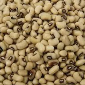Black Eyed Beans (Haricots aux yeux noirs) by Tinasyl International Trading FZC