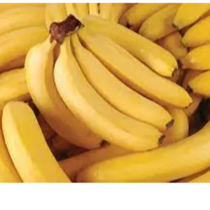 BANANA by ALIYA AGRO FOOD EXPORTER