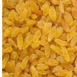 raisins by ALIYA AGRO FOOD EXPORTER