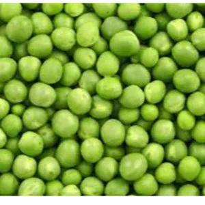 GREEN PEAS by ALIYA AGRO FOOD EXPORTER