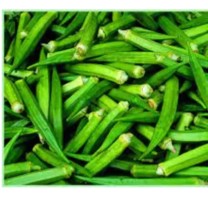 Okra