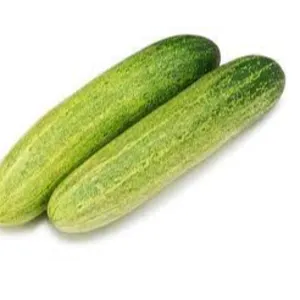 CUCUMBER