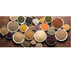PULSES