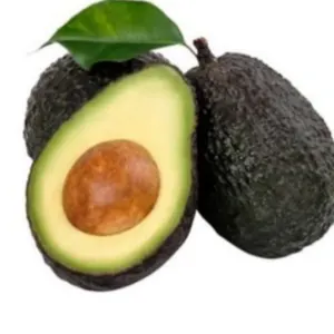 Hass avocado from Colombia by AGENCIA AVOCADOS SAS