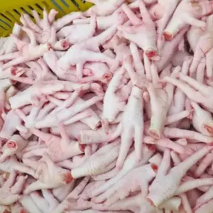 Frozen chicken feet paws in bulk for sale,