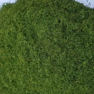 Dill Tips Sun Dry - Image 2