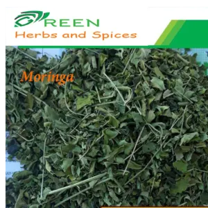 Egyptian Moringa Leaves ISO Certificated