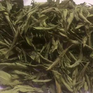 Stevia Dry Leaf by Green Herbs and Spices