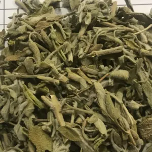 Sage Leaves by Green Herbs and Spices