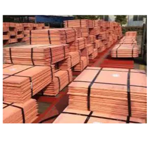 Copper Cathode by Pro Tech Services U.S LLC