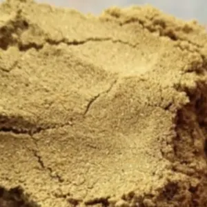 Coriander - Image 6