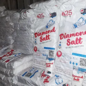 Salt Brand DIAMOND SALT 1 KG - Fast Egyptian Productions with ISO & Halal - Image 2
