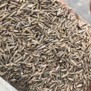 Cumin Seeds