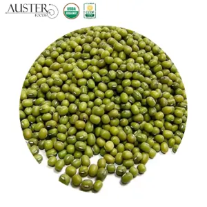 Organic Green Mung Beans packed in 25 kg bags by AUSTER FOODS LLC