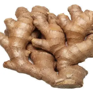 organic fresh ginger by STAR HOKU LLC