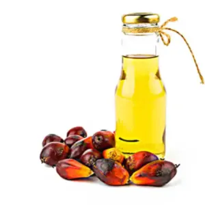 PALM OIL - Image 2