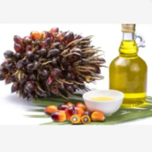 PALM OIL - Image 5