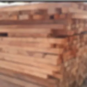Jamun wood