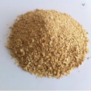 Soybean Bean - Image 2