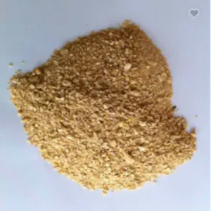 Soybean Bean - Image 3