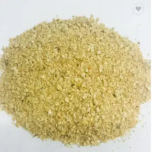 Soybean Bean - Image 4