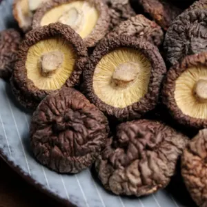 MUSHROOMS by Global Trading Consultants LLC