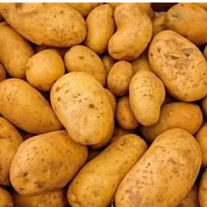 Potatos