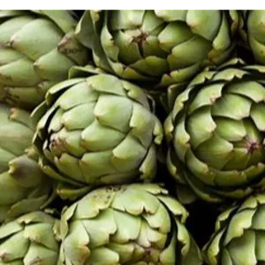 artichoke
