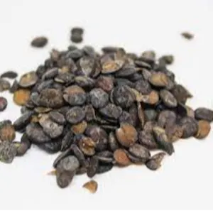 LOCUST BEANS (DAWADAWA) by LYBRAND VENTURES