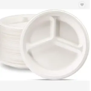 Disposable Palm Leaf Wooden PLATES - Image 3