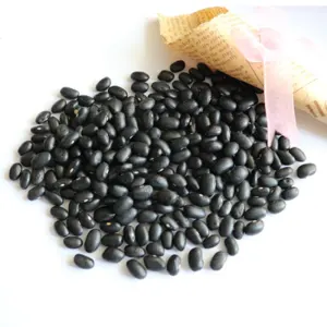 Black Kidney Beans by ACTIVE WHOLESALE LLC