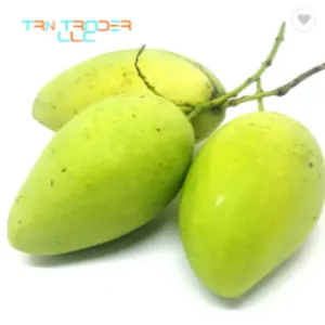 Mangoes - Image 2