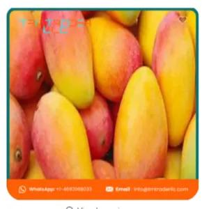 Mangoes - Image 5