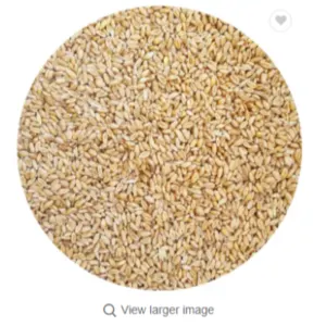 Wheat - Image 2