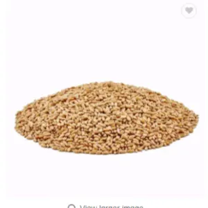 Wheat - Image 3