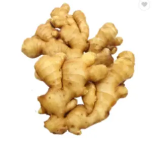 Fresh Vegetables Ginger - Image 3