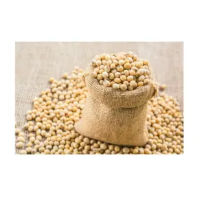 Soybeans by JJH International USA LLC
