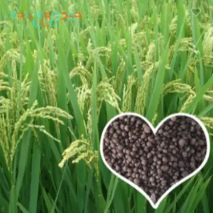 Organic Diammonium Phosphate Agricultural Fertilizer by TRN Trader LLC